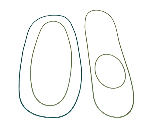 Fluorine Rubber Seal Ring